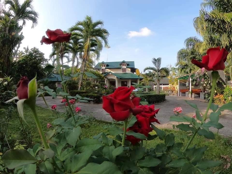 Ekman Garden Resort Sichon Zewnętrze zdjęcie